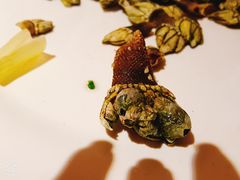 龟脚炒芹菜-星龙海鲜(望江东路店)