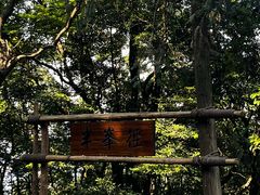 -广州市帽峰山景区