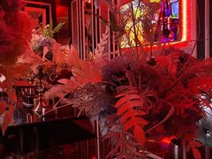 -纯客派对(酒城乐园店)