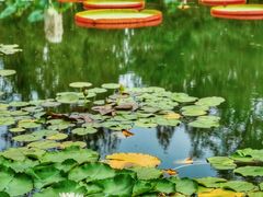 -国家植物园南园