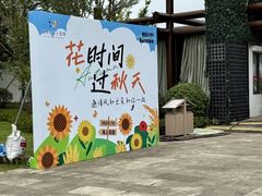 -杭州湾海上花田景区