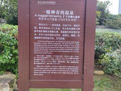 -温汤发糕(温汤店)