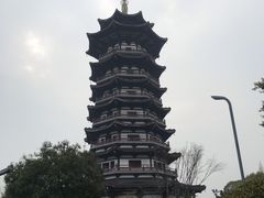 -洋湖国家湿地公园