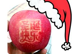 -嘉和K6温泉微度假