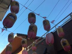 -猫咪博物馆(顶澳仔猫街店)