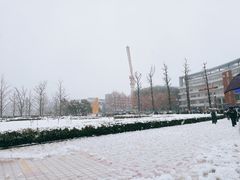 -金陵中学(河西分校)