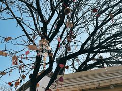 -清风小镇闯关东影视基地