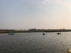 -春花秋色城市公园