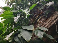 -北京植物园-展览温室