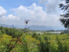 -玉舍国家森林公园