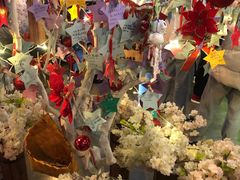 -长藤鬼校(龙翔店)