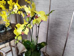 -南堂馆·新川菜(天府三街店)