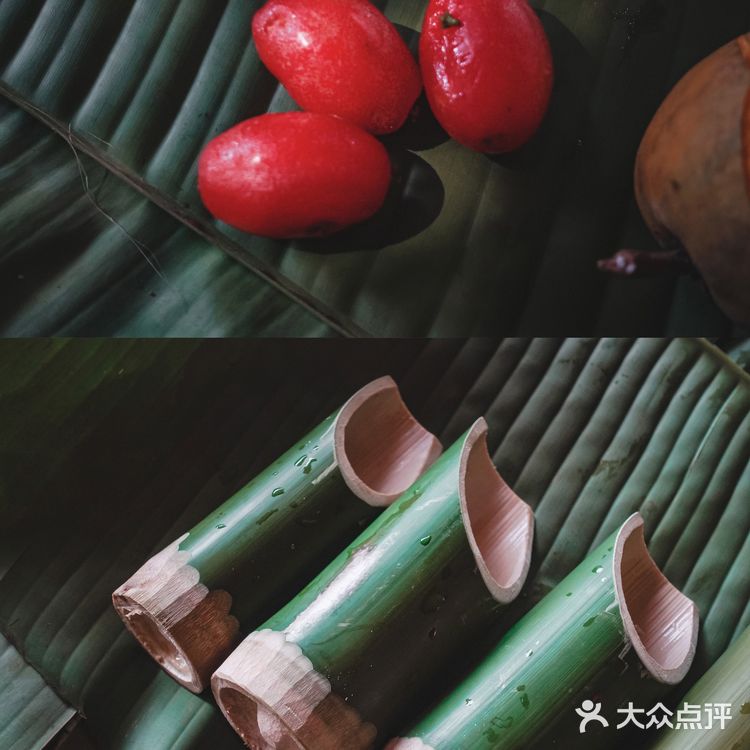 小象雨林|在西双版纳的原始森林里