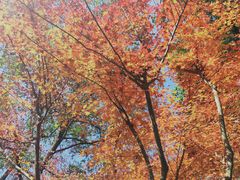 -杭州半山国家森林公园