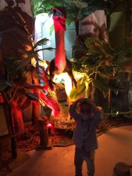 -恐龙探索乐园(磁器口店)