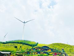 -仰天湖大草原