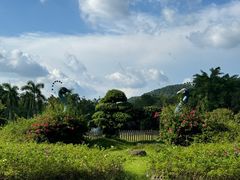 -东南花都花博园