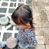 番禺.余荫山房|岭南四大园林
