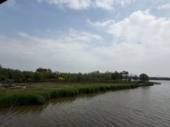 -西青郊野公园