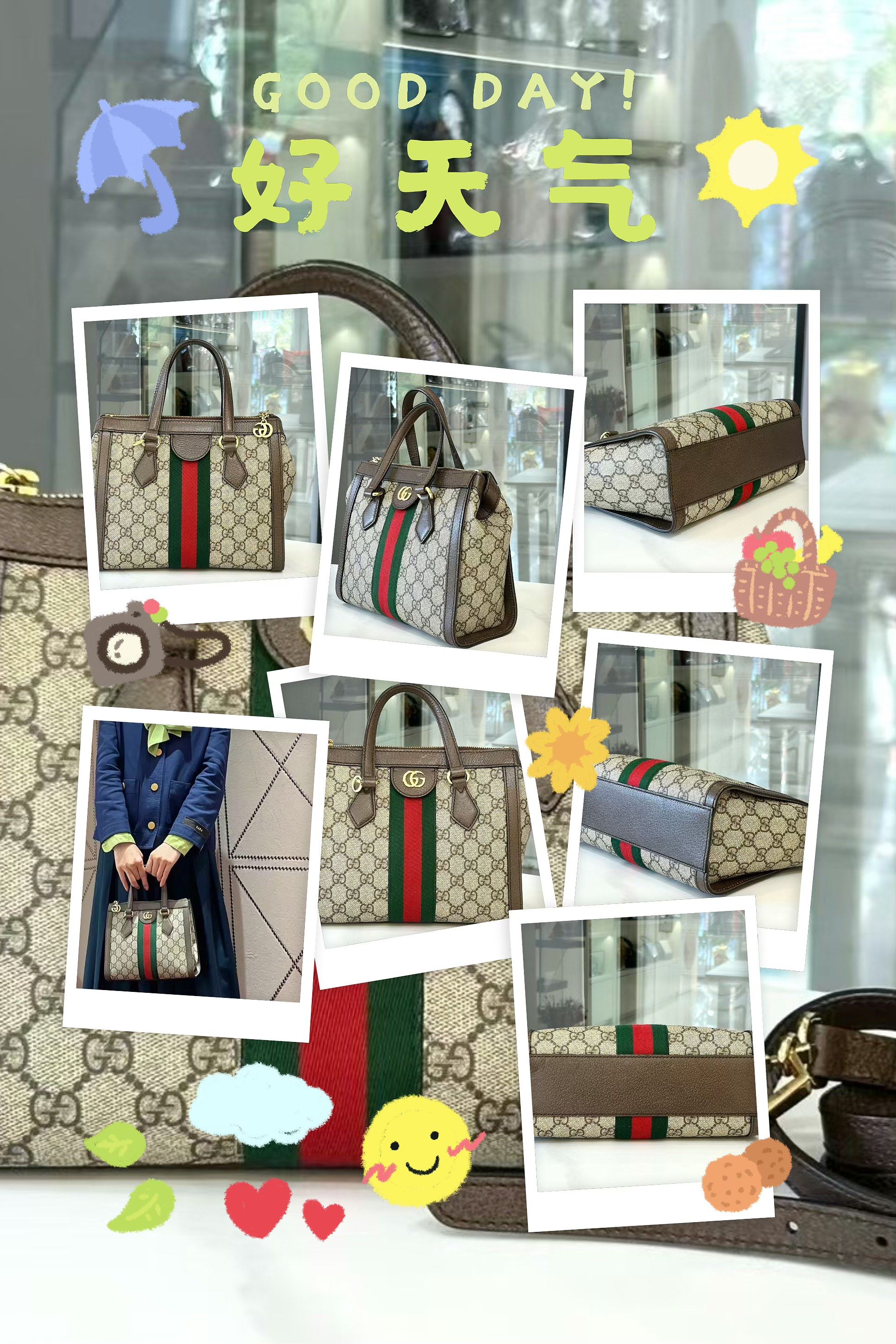 gucci古驰 ophidia 老花logo
