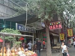 -老白家水盆羊肉