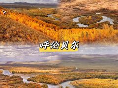 -呼伦贝尔大草原