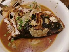 -鸽子窝(青塔店)