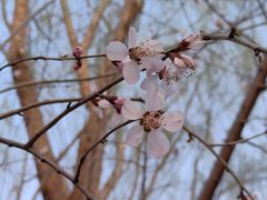 -三里河公园