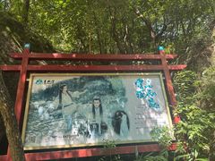 -百杖潭景区