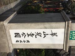 iphone_upload_pic-华山儿童公园