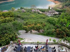 -广州市流溪河国家森林公园