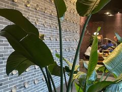 -白乐天毛肚火锅馆(南滨路店)