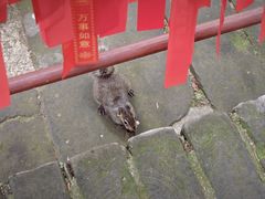 -红螺寺