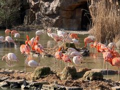 -宁波野生动物园