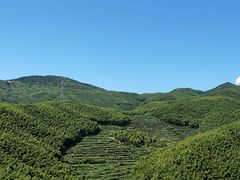 -宁波浙东大竹海景区