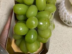 -PAGODA百果园(湛江城市美林店)