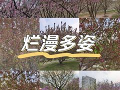 -北京明城墙遗址公园