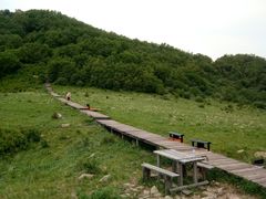 -白草畔自然风景区