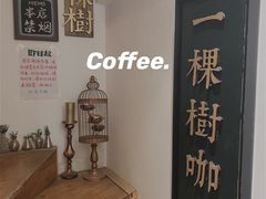-一棵树咖啡馆(泉乐坊店)