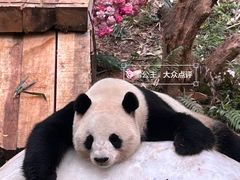 -广州长隆野生动物世界