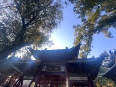 -晋祠公园
