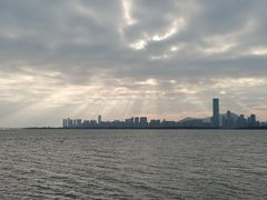 -福田红树林生态公园