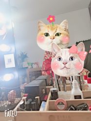 -盘子女人坊生日照·摄影馆(华强店)