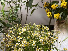-花十悦·鲜花咖啡餐厅(振业城一期店)