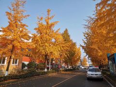 -四川大学(望江校区)