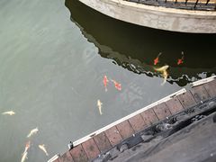 -圣爵菲斯大酒店(长沙世界之窗店)