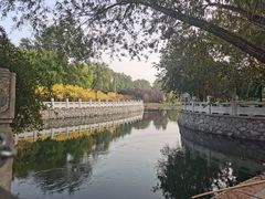 -大望京公园