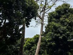 -月亮湾公园