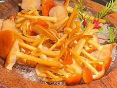 -季季山·云南野生菌火锅(上海首店)