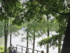 -海珠湖公园